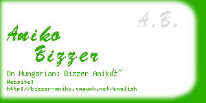 aniko bizzer business card